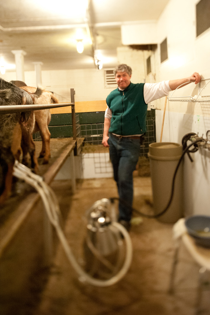 Peter milking the ladies http://www.kindraclineff.com/
