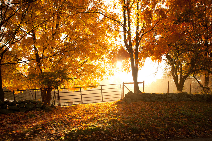 Valley View Farm, Topsfield http://www.kindraclineff.com/