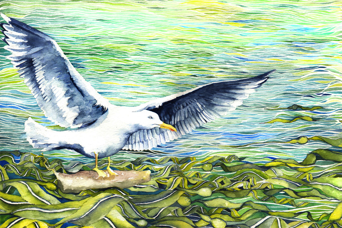 Whose Friendship began one fog covered day, when the gull was on a log drifting in the bay.