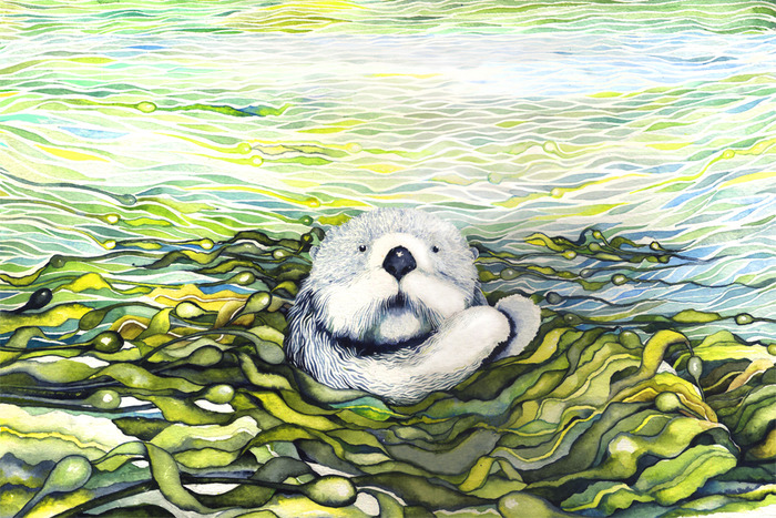 "Are you lost Sir? Can I offer some help?" said a voice down below in a forest of kelp.