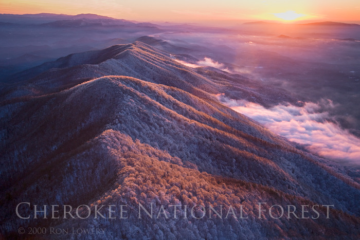 Snow at sunset