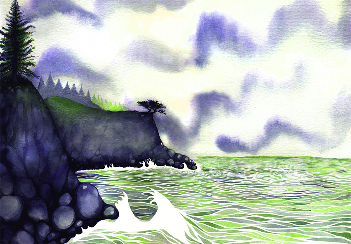In the Pacific Northwest where the land meets the water, lived a cynical gull and an amiable otter.
