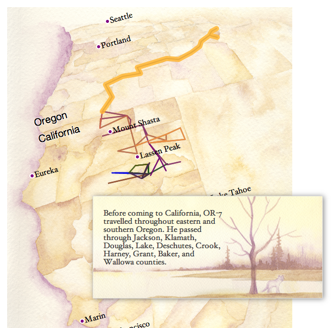 Click on this to play with an interactive digital map of OR-7's trek. Read my updates to learn more about this map!
