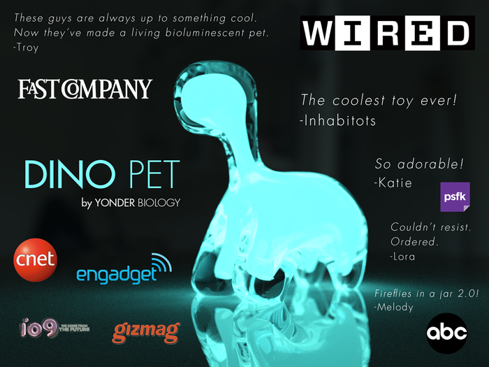 Dino Pet will ship globally (where permissible by import laws)
