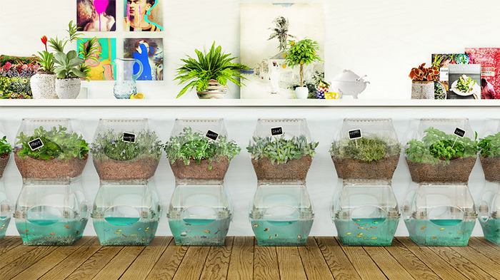 The Aqualibrium Garden - Fits Anywhere