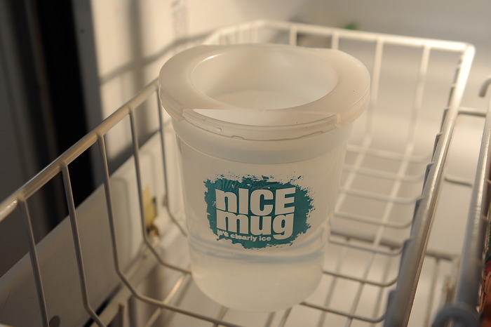 FREEZE mold for 8 hours or so.
