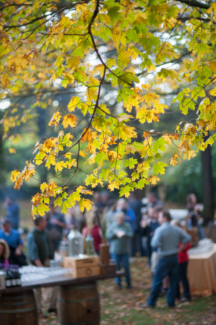 Valley View Farm Harvest Supper http://www.kindraclineff.com/