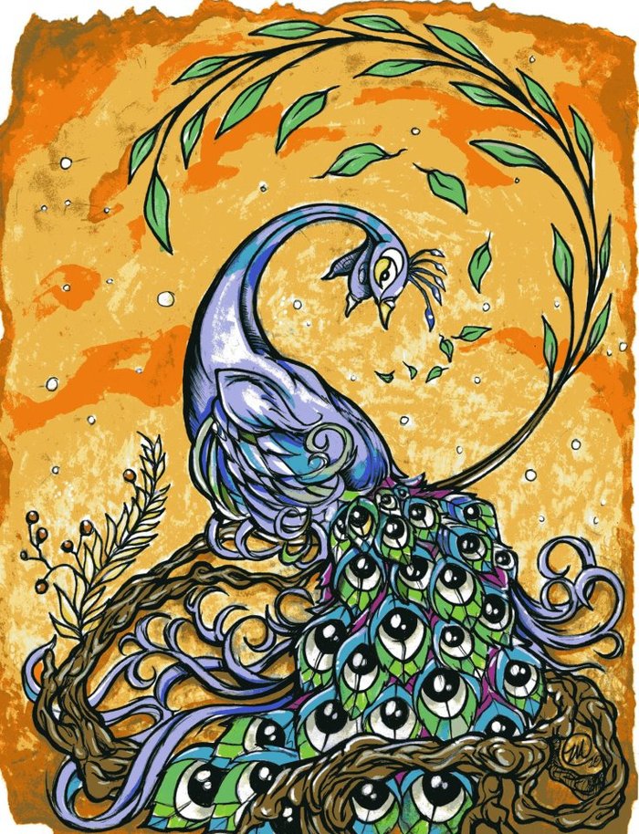 "Peacock" print by Zack Arnett (8" x 10")