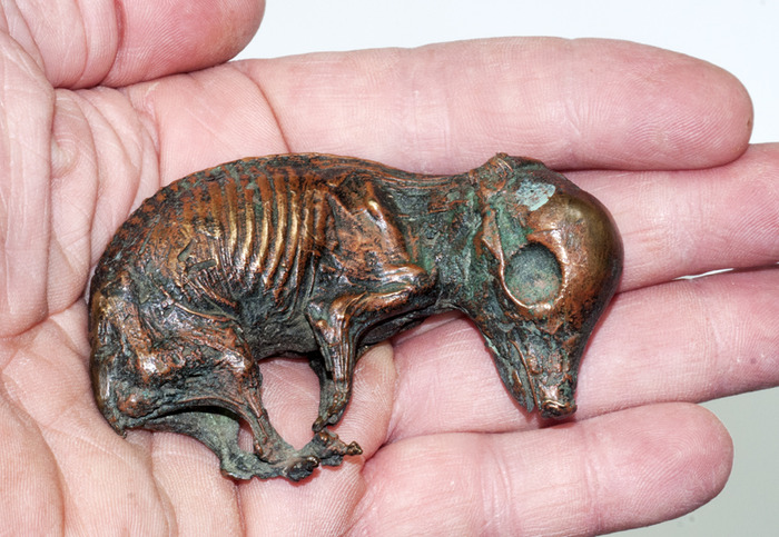 Fetal pig, lost wax casting in bronze with patina