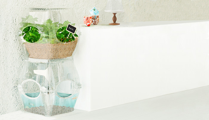 The Aqualibrium Garden - Shipped Fully Assembled