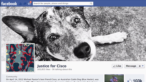 In April, 2012 Michael Paxton's dog Cisco, an Australian Cattle Dog (Blue Heeler), was shot by an APD officer that responded to the wrong address of a domestic disturbance complaint.