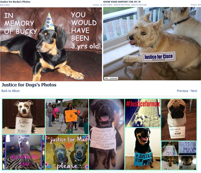 On Facebook, one can find pages with hundreds of thousands of supporters devoted to justice for victims of puppycides.