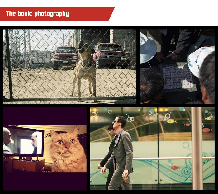 Loïc has a keen eye for a fantastic photograph. Here are just a few of his clever snaps