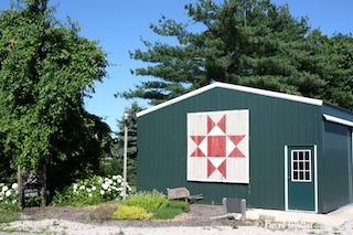 Lewis Mountain Herbs & Everlasting