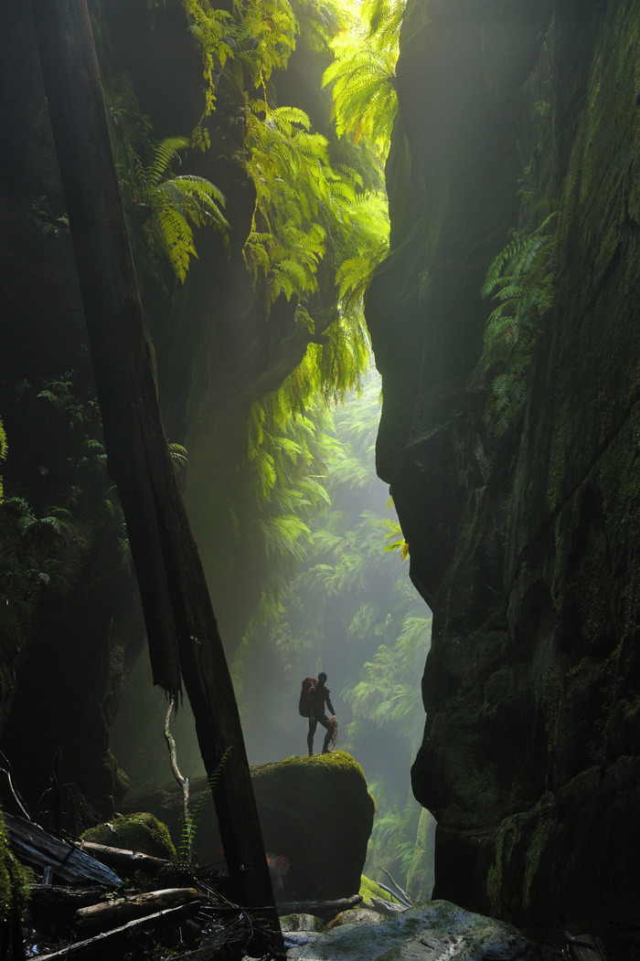 Front cover of National Geographic