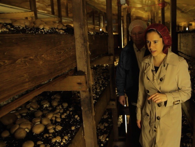 No, that's not Nicole in a WWII spy thriller. That's a still from Episode One: Mushrooms.