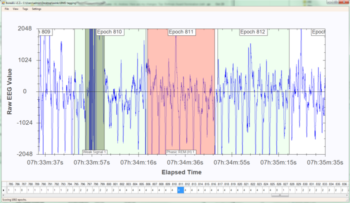 Our very own sleep-tagging software, called 'Borealis'.