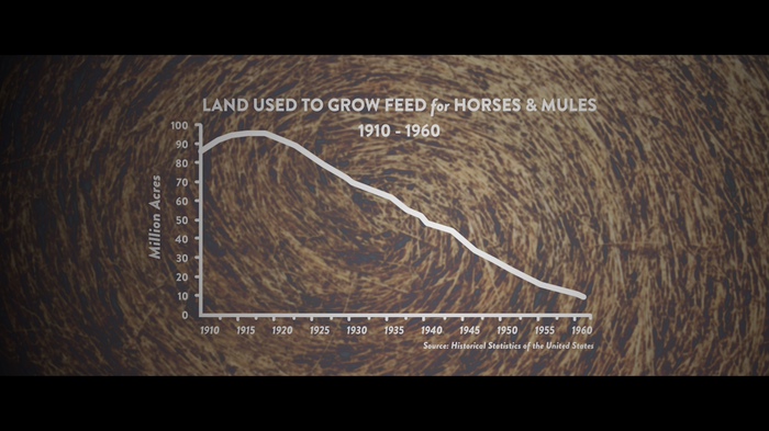 Animated graph