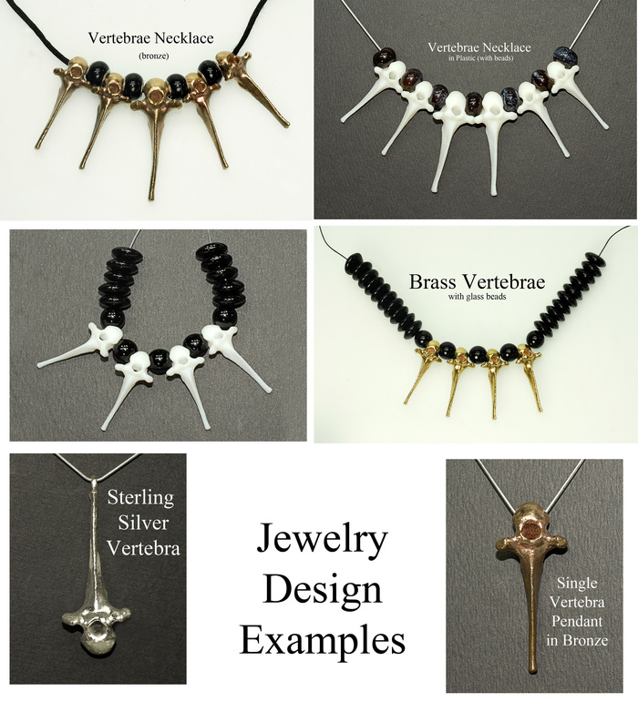 Mammal Vertebrae (Backbone) as Jewelry