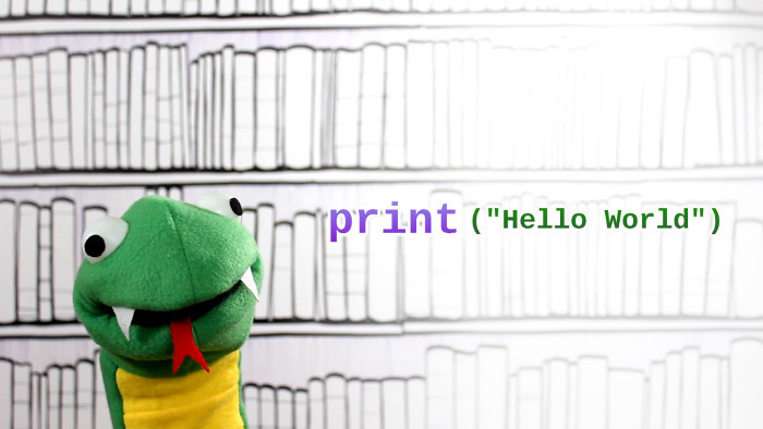 Our Pythonic python, Guido.
