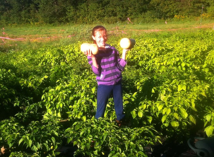 Walking in the pepper patch with a pair of butternut squash.