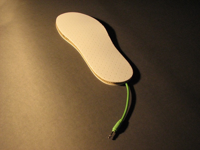 The Shoe Insert