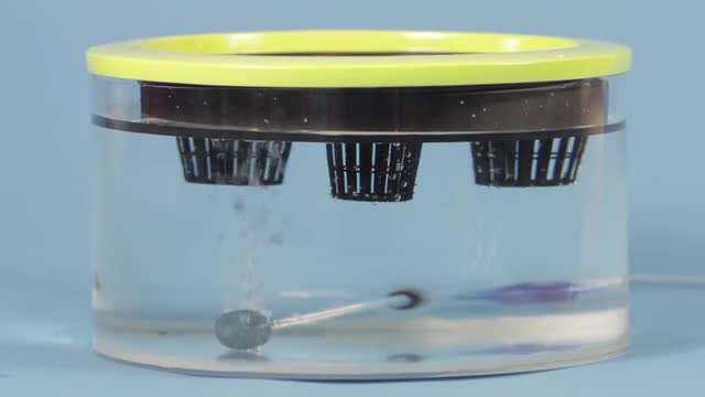  project video thumbnail