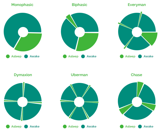 Polyphasic sleep modes