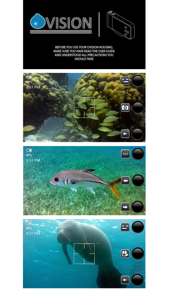 All these pictures were taken while snorkeling in Belize with an iPhone 4 and the Ovision housing.