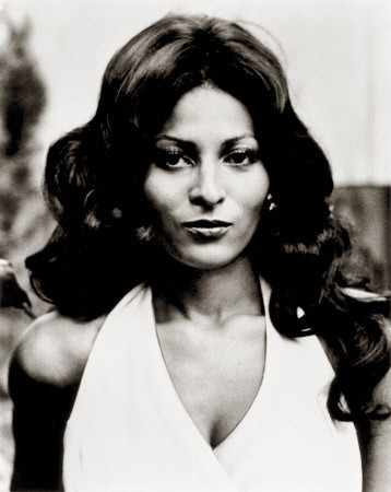 Pam Grier (Foxy Brown, Coffy, Jackie Brown, Original Gangstas) as “Kelly”