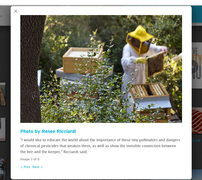 Interview with Massart, October 2013