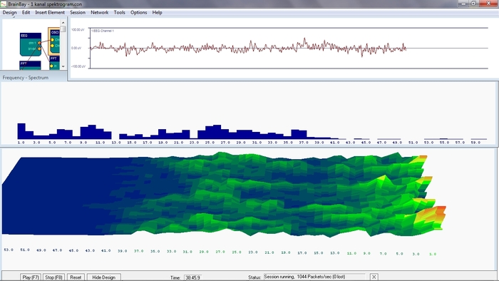 EEG (brainwaves during the concentration)