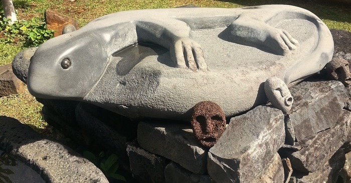Hoaka's carving of the powerful lizard goddess Kihawahine which was said to have guarded the freshwater springs of Moku'ula (sacred island) in Lahaina, Hawaii.