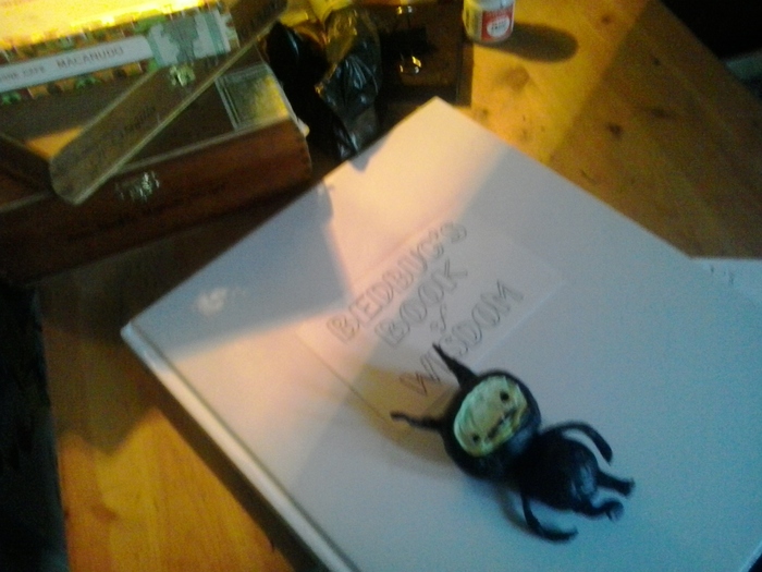 Prototype for Sculpey Bedbug and secret files for 'Bedbug's Book of Wisdom'