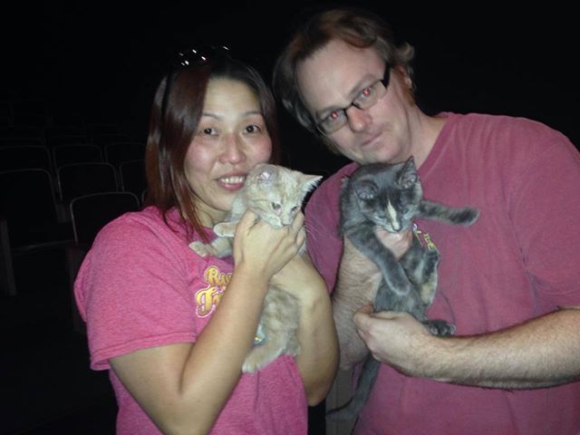 Foster kittens with their new parents