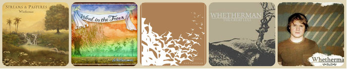 Full Package: ALL Five Albums! (Left to Right) 'Streams and Pastures' (2013), 'Wind in the Trees' (2011), 'Nooks and Crannies' (2010), 'The Great Lull' (2008), 'Bull' (2007)