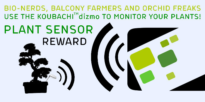 Give your plants a voice with a Koubachi plant-sensor dizmo !