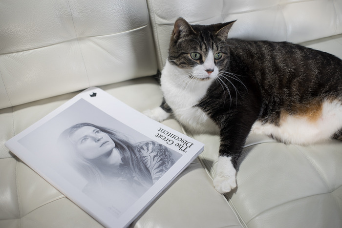 Even cats love it