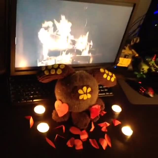 project video thumbnail
