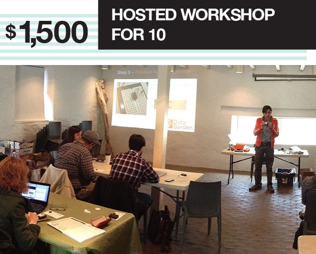 Data Garden artists will give a lecture and workshop on biodata sonification for up to 10 guests.