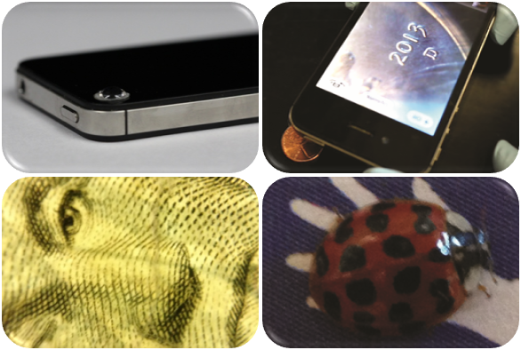 Attach lenses directly to your smart phone's camera! Use them to take microscopic pictures!