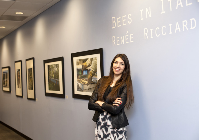 Bees in Italy, Part One: Gallery of the Warner Babcock Institute for Green Chemistry. Jan - April 2014