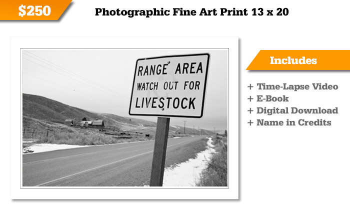 Sample only. Choose your own from the 100s of images we will take.