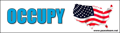 Occupy America bumper sticker (ready to ship now)