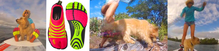 VIDEO: Dogs are our best friends. Experience the fun and freedom of ZEMs together!