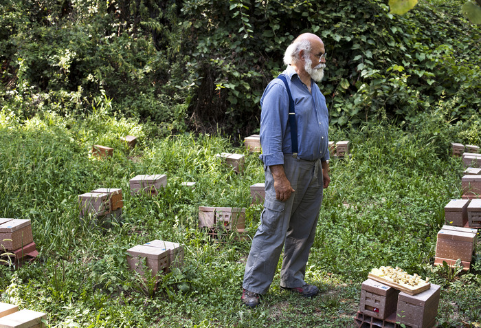 Massimo. Piedmont, Italy. 2013.
