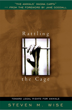 Steve's First Book, signed by the Author