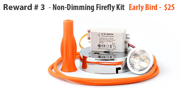 Orange LED kit shown (one of four colour choices)