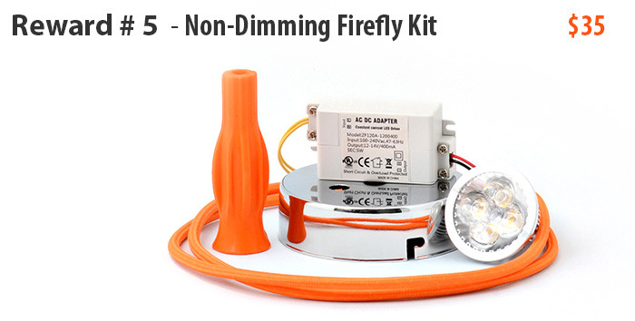 Orange LED kit shown (one of four colour choices)