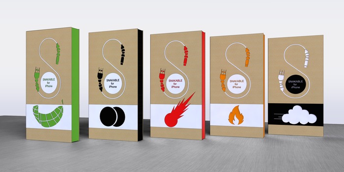 Proposed Packaging